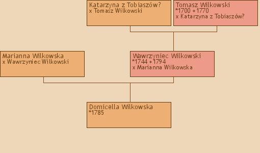 Wywd przodkw - Domicella Wilkowska