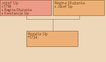 Wywd przodkw - Rozalia Sip