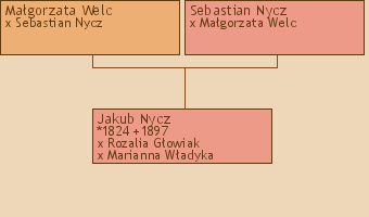 Wywd przodkw - Jakub Nycz