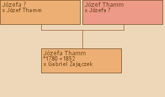 Wywd przodkw - Jzefa Thamm