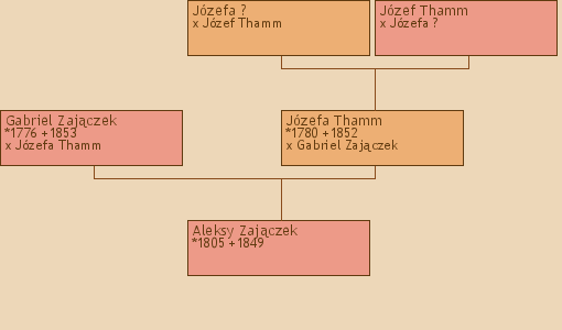 Wywd przodkw - Aleksy Zajczek