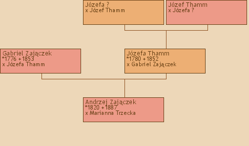 Wywd przodkw - Andrzej Zajczek