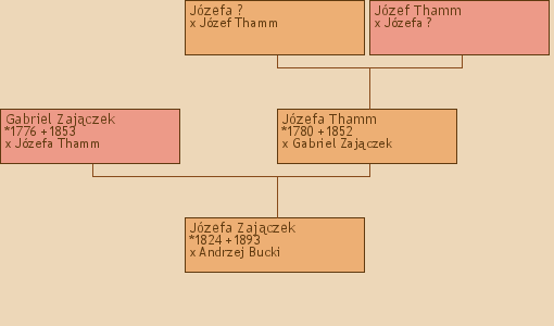 Wywd przodkw - Jzefa Zajczek