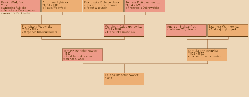 Wywd przodkw - Helena Dzieciuchowicz