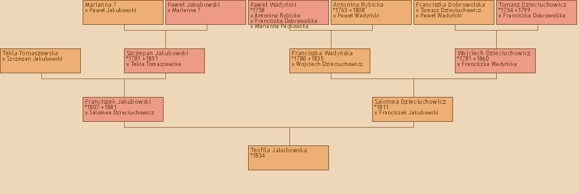 Wywd przodkw - Teofila Jakubowska