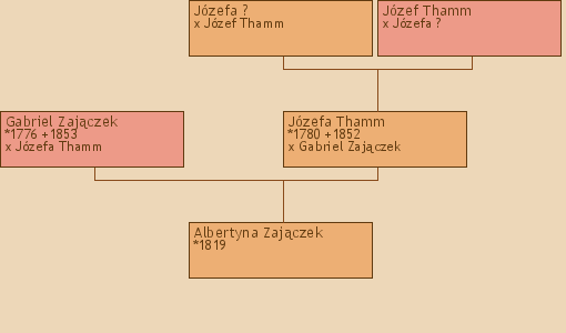 Wywd przodkw - Albertyna Zajczek