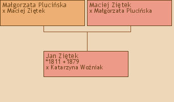 Wywd przodkw - Jan Zitek