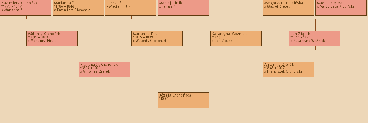 Wywd przodkw - Jzefa Cichoska