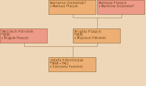 Wywd przodkw - Jzefa Prolniczak