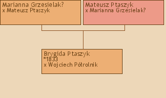 Wywd przodkw - Brygida Ptaszyk