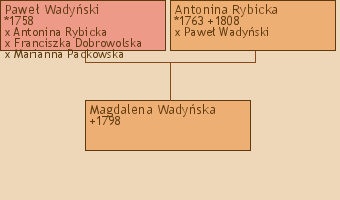 Wywd przodkw - Magdalena Wadyska