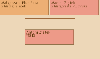 Wywd przodkw - Antoni Zitek