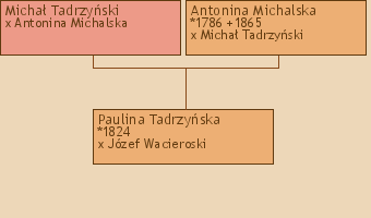 Wywd przodkw - Paulina Tadrzyska