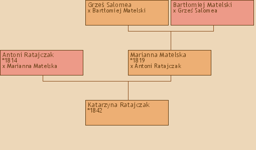 Wywd przodkw - Katarzyna Ratajczak