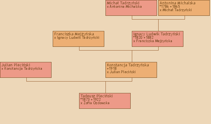 Wywd przodkw - Tadeusz Pleciski