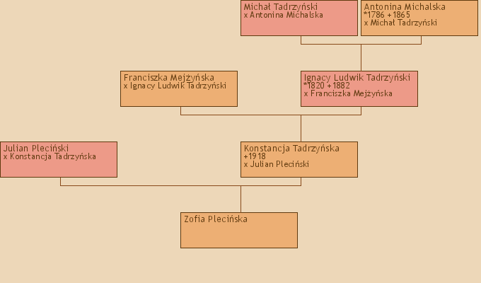 Wywd przodkw - Zofia Pleciska