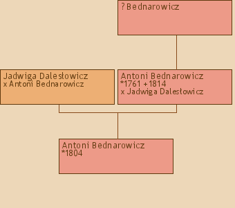 Wywd przodkw - Antoni Bednarowicz