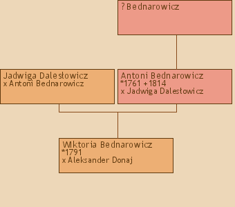 Wywd przodkw - WIktoria Bednarowicz