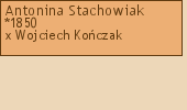 Wywd przodkw - Antonina Stachowiak