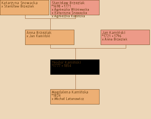 Wywd przodkw - Magdalena Kamiska