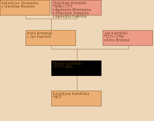 Wywd przodkw - Katarzyna Kamiska