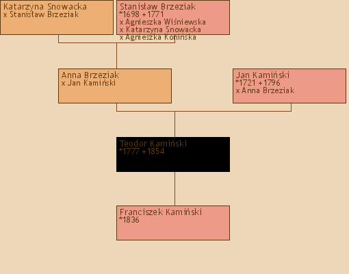 Wywd przodkw - Franciszek Kamiski