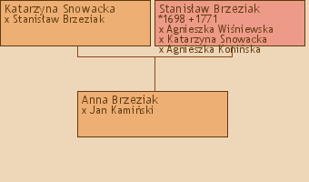 Wywd przodkw - Anna Brzeziak