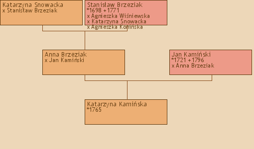 Wywd przodkw - Katarzyna Kamiska