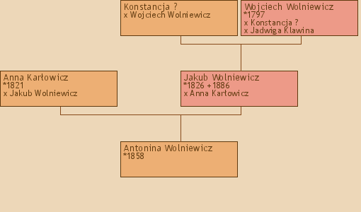 Wywd przodkw - Antonina Wolniewicz