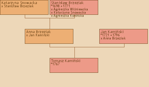 Wywd przodkw - Tomasz Kamiski