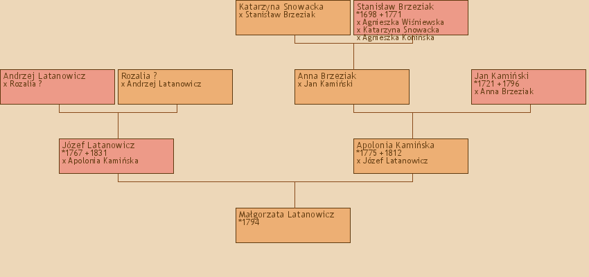 Wywd przodkw - Magorzata Latanowicz