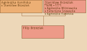 Wywd przodkw - Filip Brzeziak