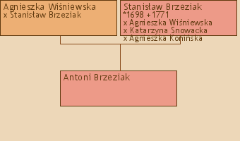Wywd przodkw - Antoni Brzeziak