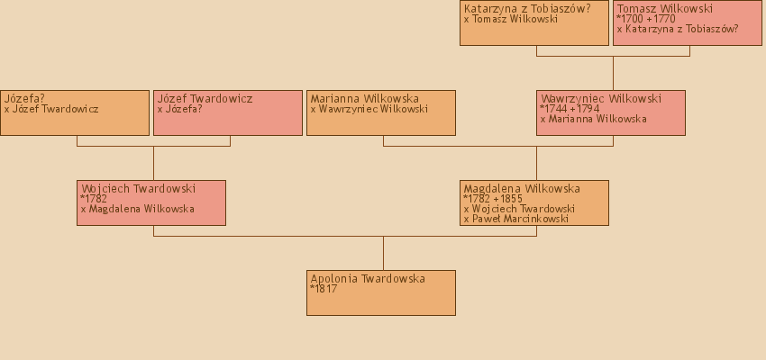 Wywd przodkw - Apolonia Twardowska