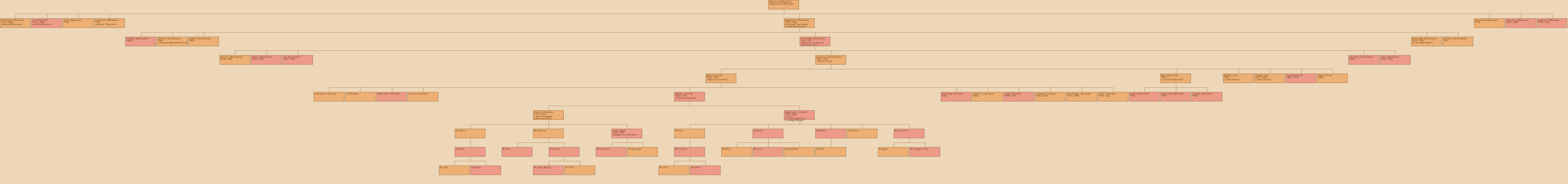 Drzewo genealogiczne - Marianna Wilkowska