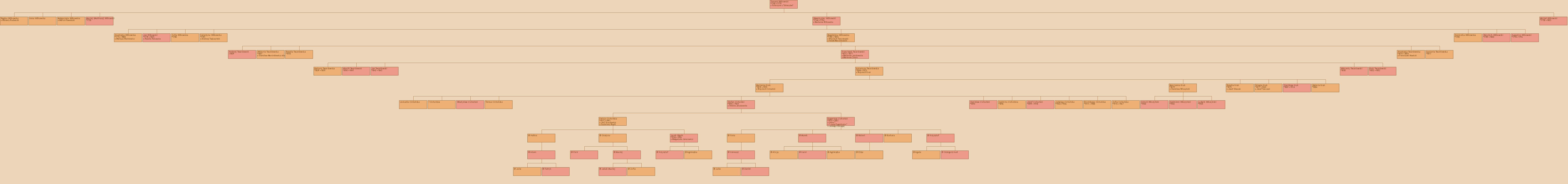 Drzewo genealogiczne - Tomasz Wilkowski