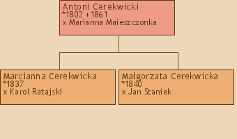Drzewo genealogiczne - Antoni Cerekwicki