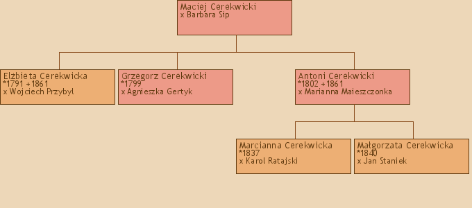 Drzewo genealogiczne - Maciej Cerekwicki