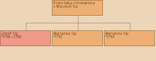 Drzewo genealogiczne - Franciszka Cerekwicka