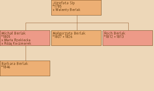 Drzewo genealogiczne - Jzefata Sip