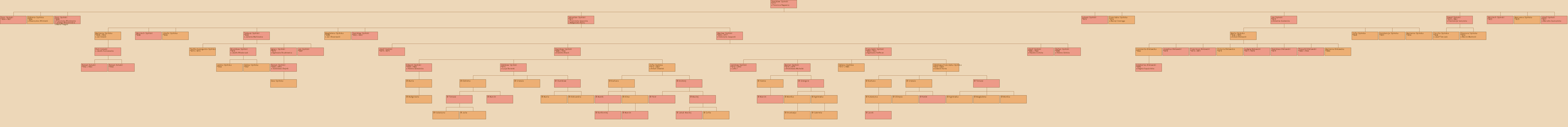 Drzewo genealogiczne - Stanisaw Sipinski