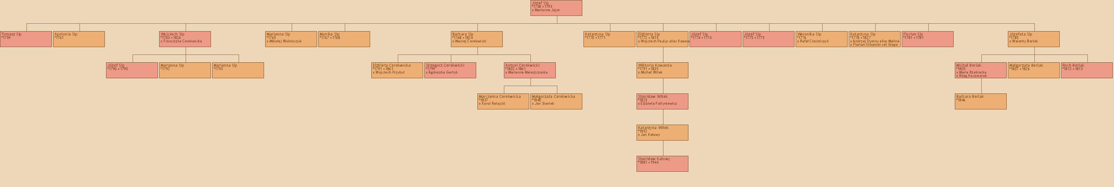 Drzewo genealogiczne - Jzef Sip