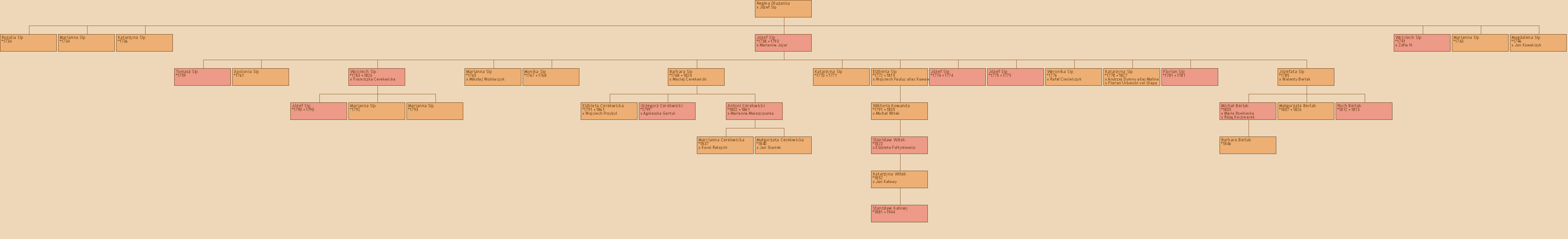 Drzewo genealogiczne - Regina Duanka