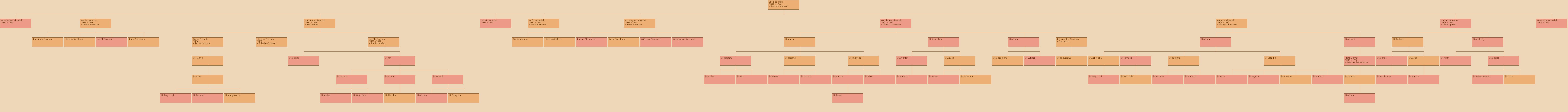 Drzewo genealogiczne - Brygida Welc