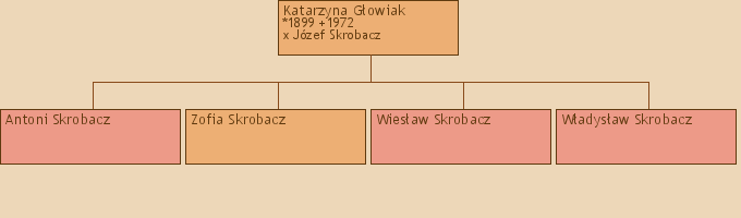 Drzewo genealogiczne - Katarzyna Gowiak