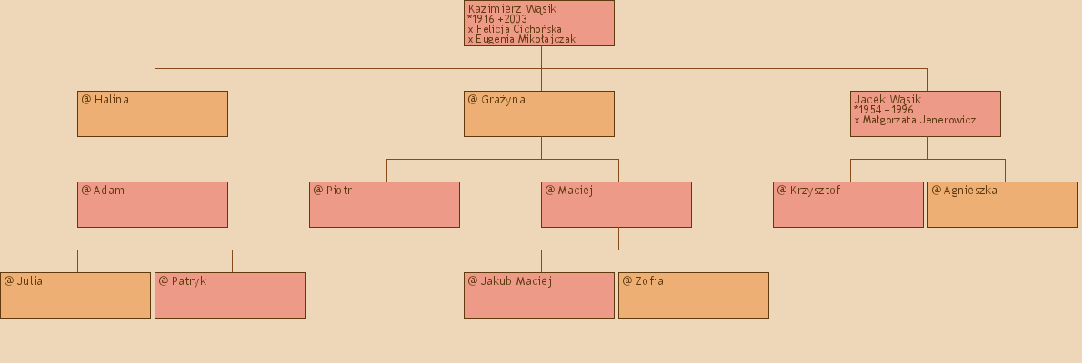 Drzewo genealogiczne - Kazimierz Wsik