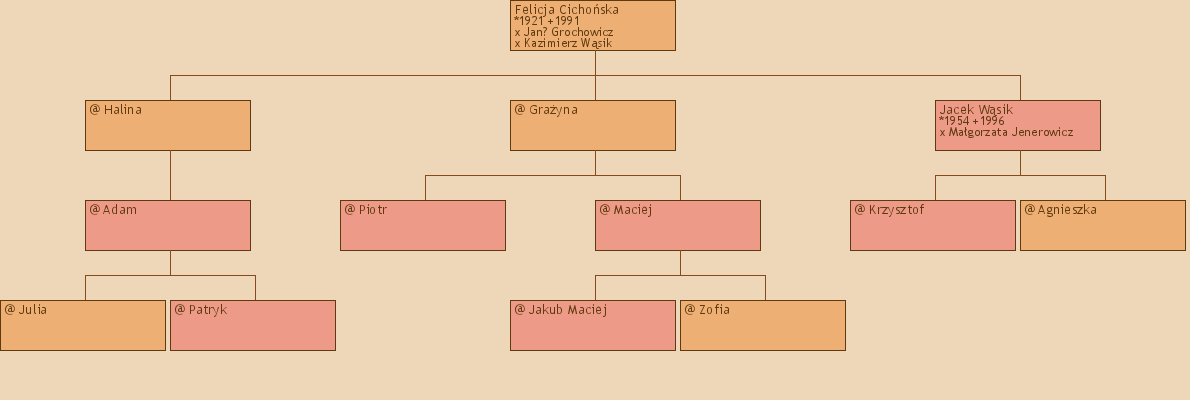 Drzewo genealogiczne - Felicja Cichoska