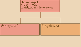 Drzewo genealogiczne - Jacek Wsik