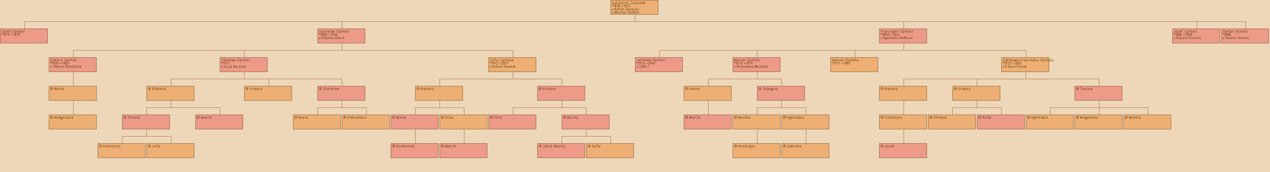 Drzewo genealogiczne - Katarzyna Zajczek