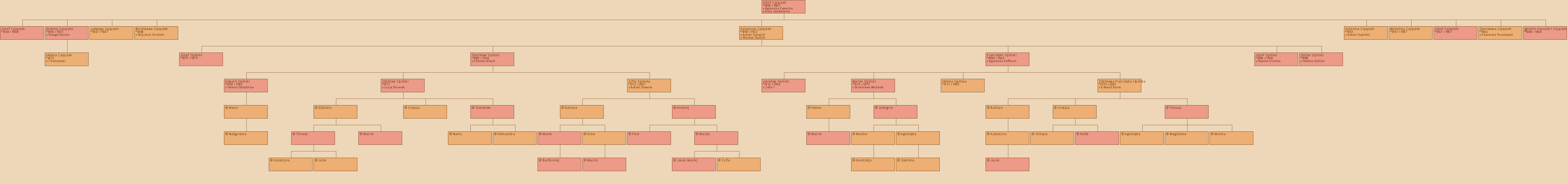 Drzewo genealogiczne - Adolf Zajczek